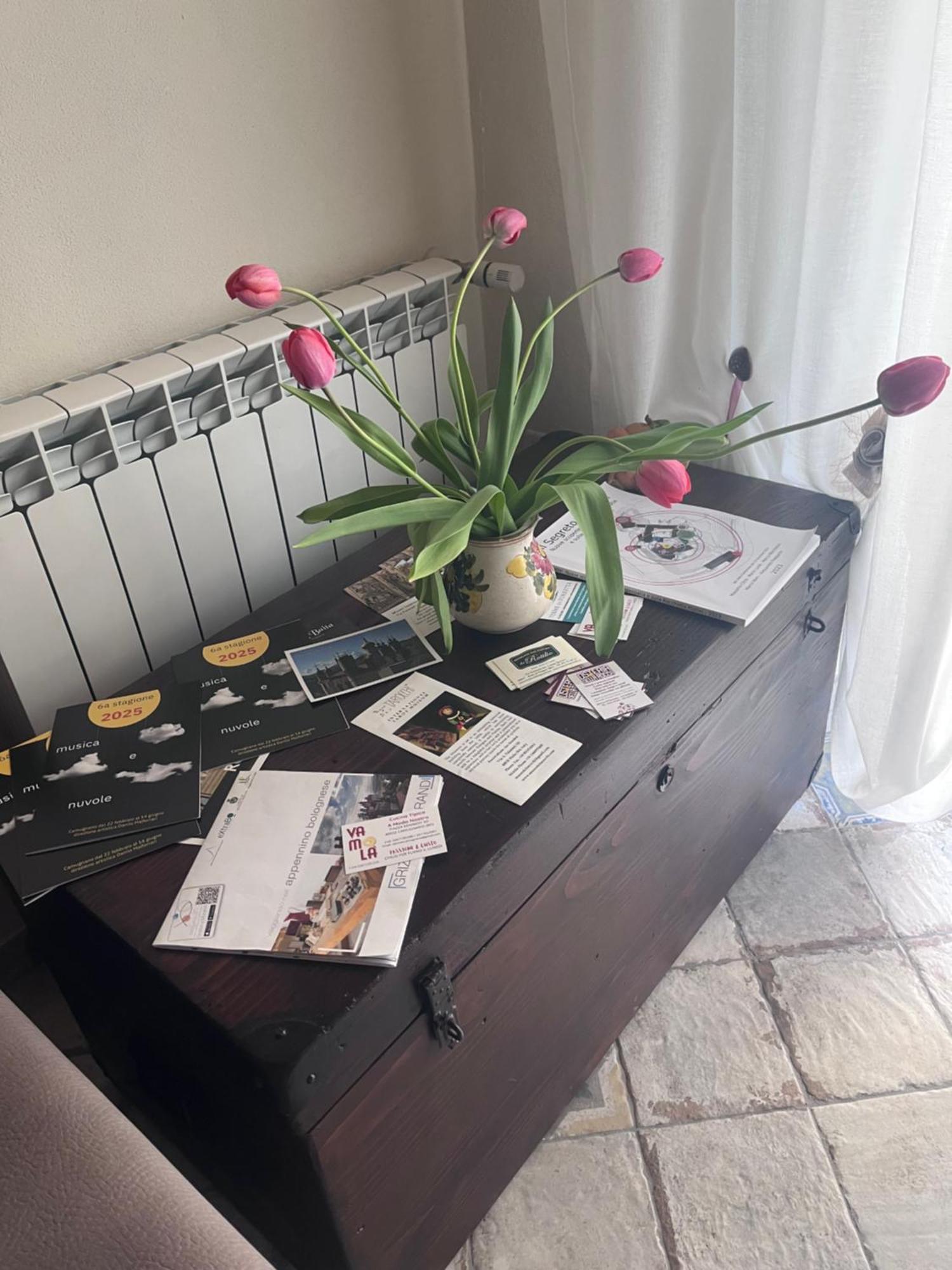 B&B Camelia Camugnano Экстерьер фото